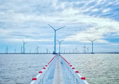 Tác động môi trường của phát triển điện gió trên vùng biển Việt Nam 
